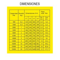 Bascula de Gancho AGM
