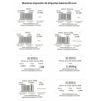 Balanza y Etiquetadora BC2102