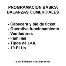 Programación Básica de Balanza Comercial