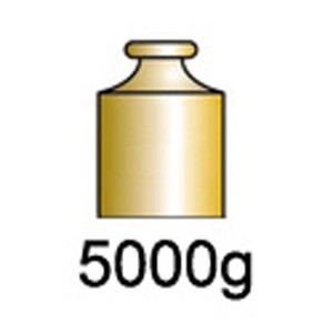 Balanzas de 5000g